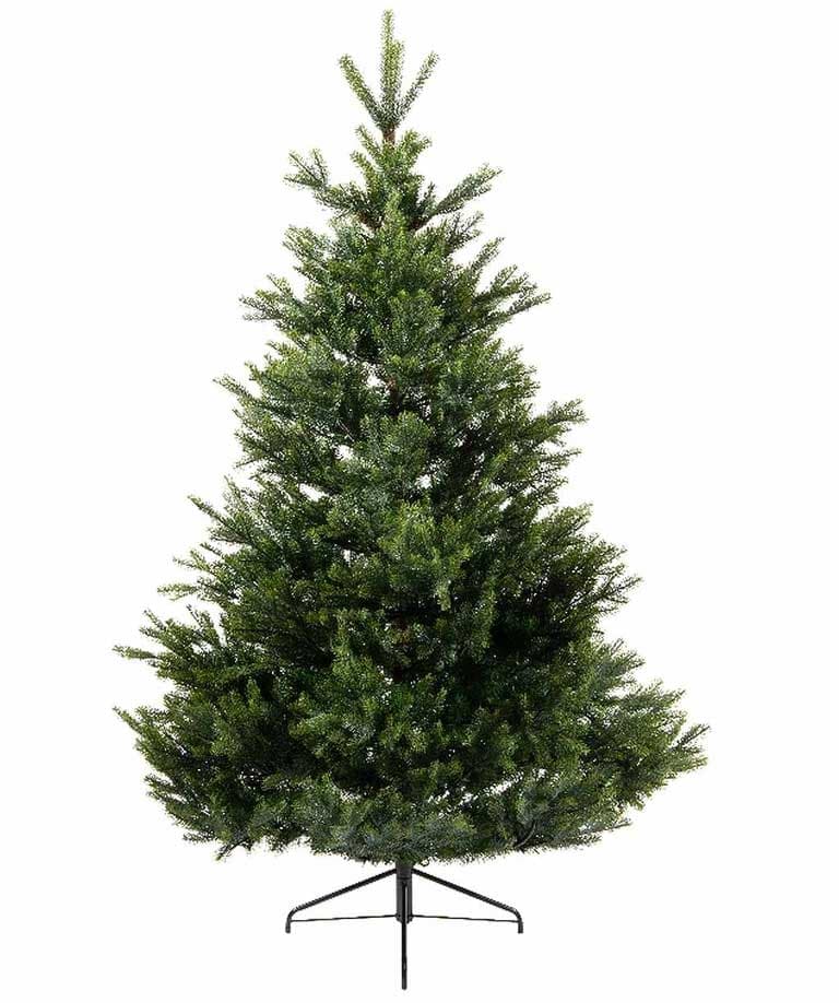 Novogodišnja jelka Everlands Arlberg fir 150cm