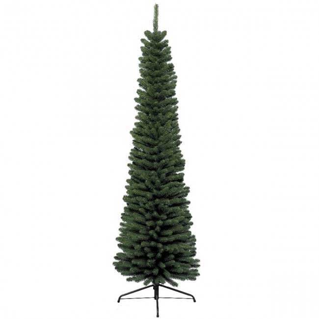 Novogodišnja jelka Everlands Pencil Pine 210cm