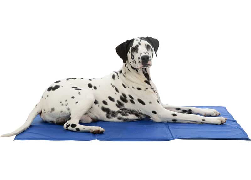 Rashladna prostirka za pse 110x70cm Trixie 28687