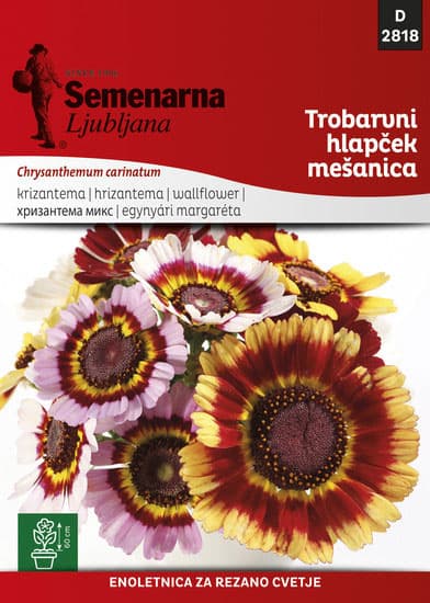 Seme za cveće Trobojna Margareta mešavina - Chrysanthemum carinatum 2818