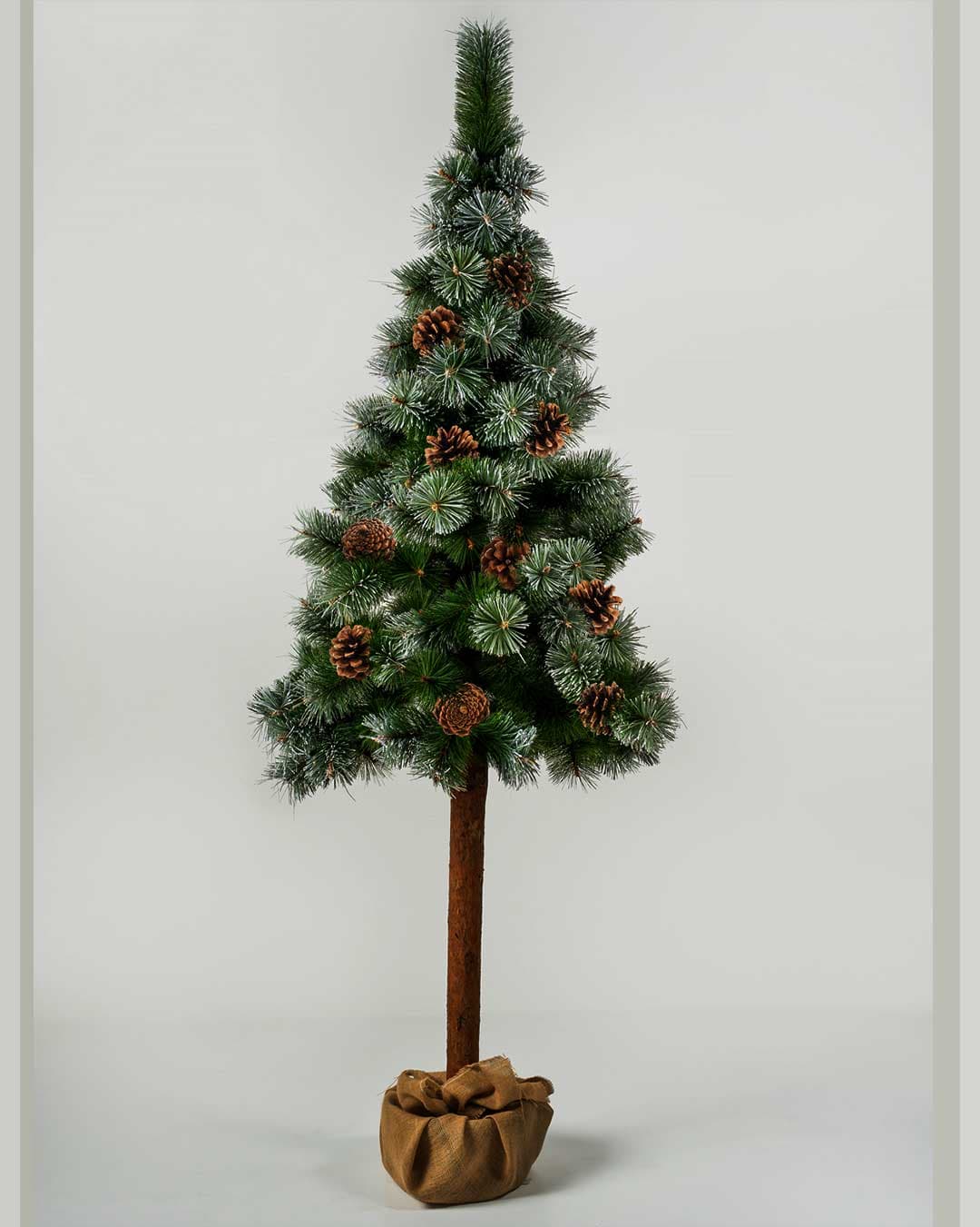 Novogodišnji Bor pod Snegom 220 cm Eco Green Ice Sa Šišarkama