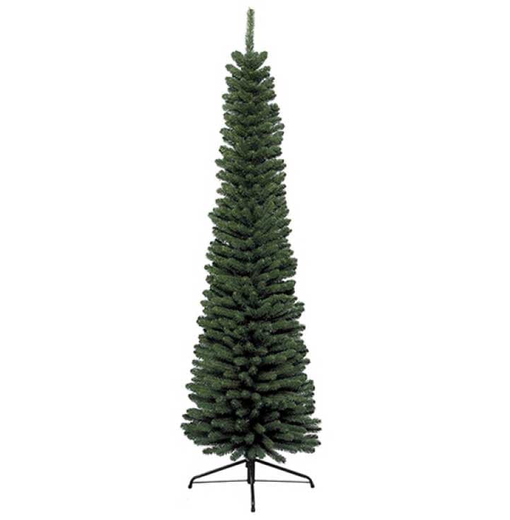 Novogodišnja jelka Everlands Pencil Pine 180cm