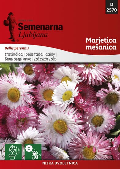 Seme za cveće 5 kesica Bela Rada - mešavina - Bellis perennis 2570