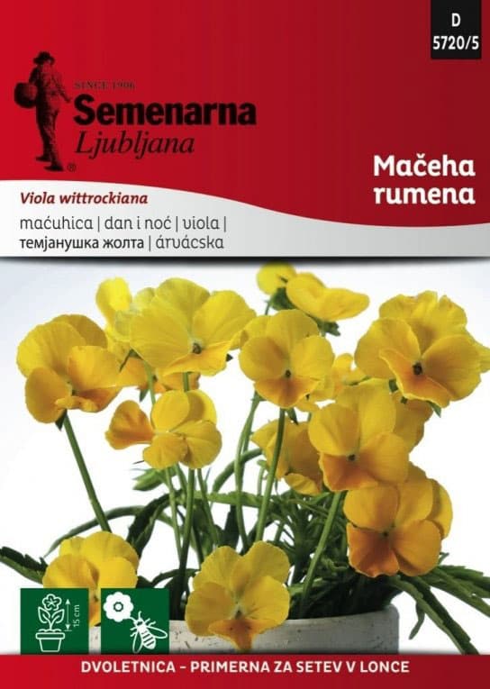 Seme za cveće 5 kesica Dan i noć - žuti -  Viola wittrockiana 5720/5
