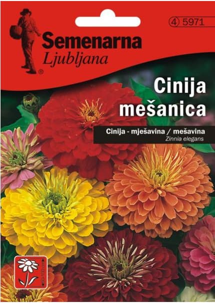 Baštensko cveće Lepi čovek - mešavina - Zinnia elegans 10 kesica 5971