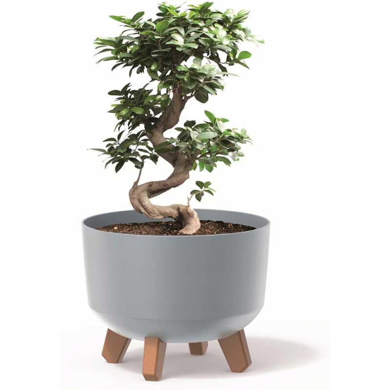 Saksija Prosperplast Gracia 24x19 sa nogarima Svetlo siva