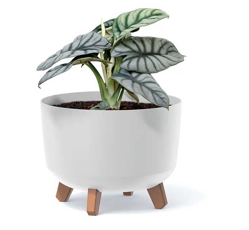 Saksija Prosperplast Gracia 34x24 sa nogarima Bela