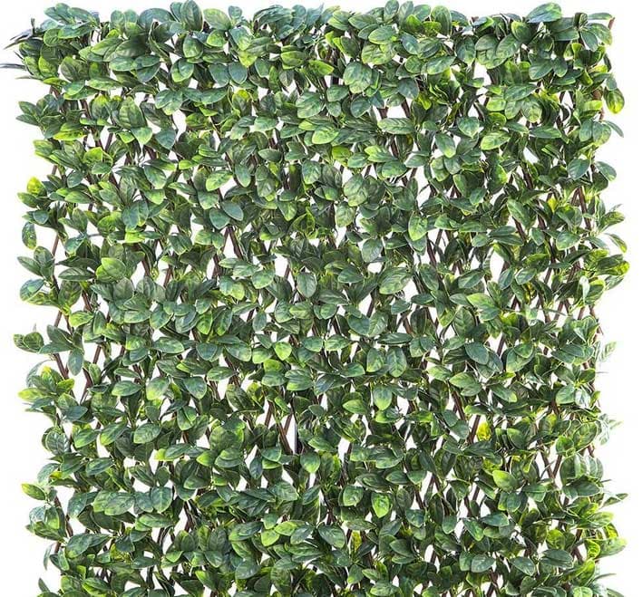 Veštačka živa ograda sa PVC lišćem Lovor 1x2m