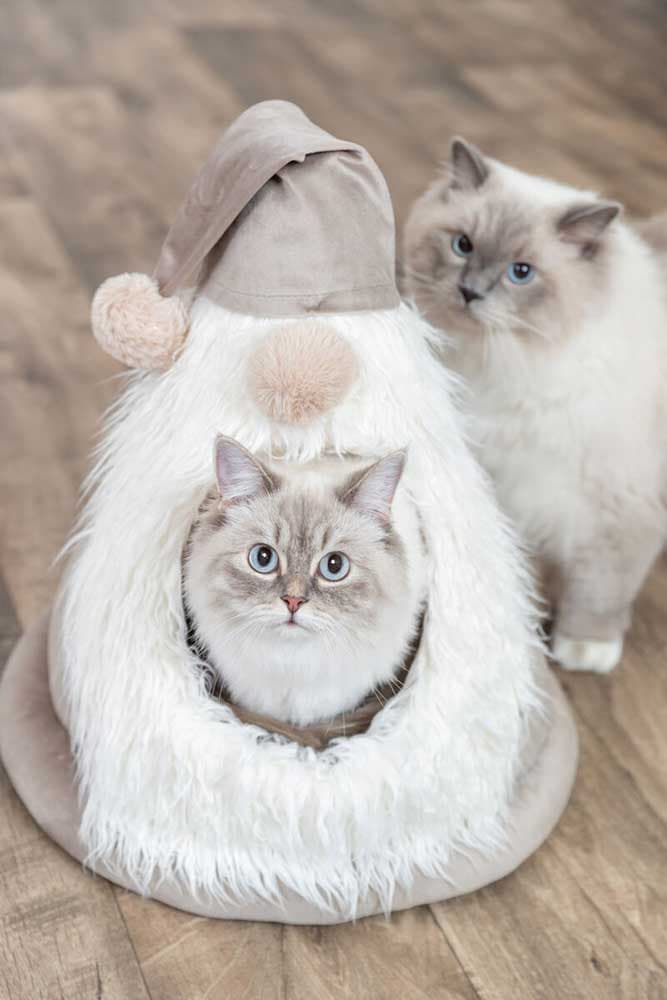 Kućica za mačke i male pse Dwarf Trixie 927104