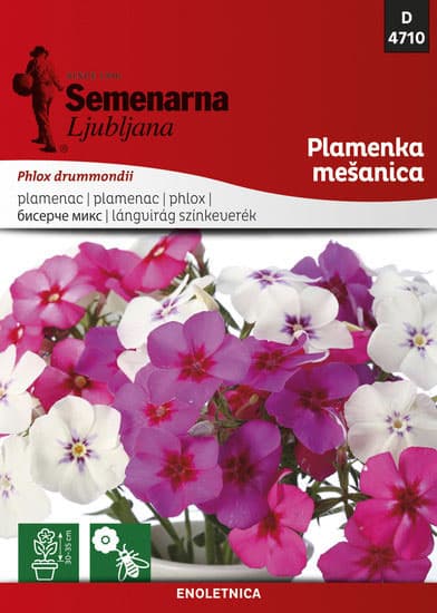 Seme za cveće Plamenac mešavina - Phlox drummondii 10 kesica 4710