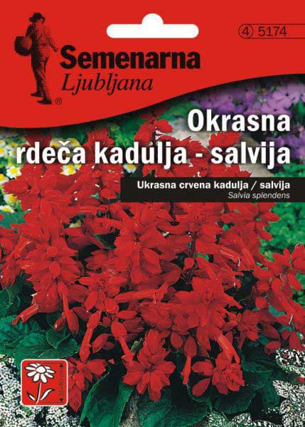 Baštensko cveće Plamena Kadulja - Žalfija - Salvia splendens 5 kesica 5174