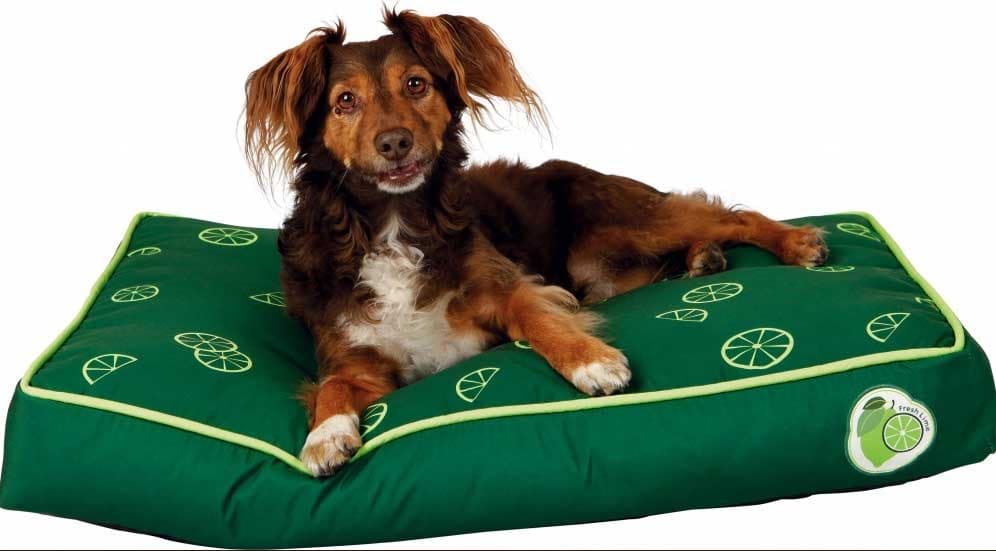 Jastuk za psa Trixie Fresh Fruits Green 90cm 37362