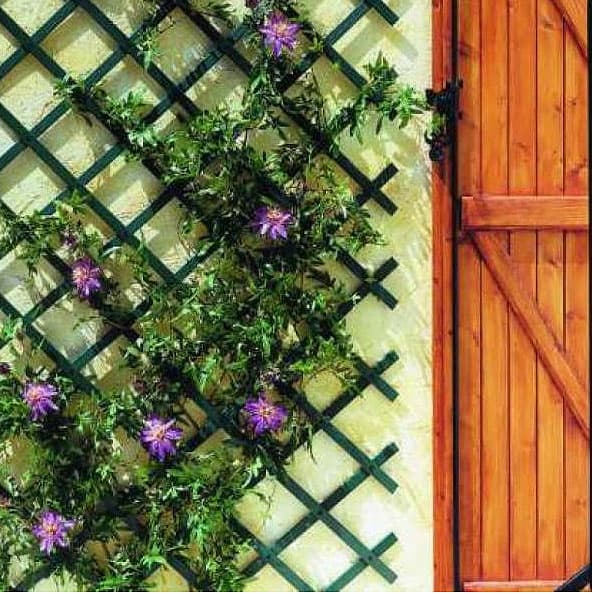 Merdevine Za Cveće - Puzavice 1 x 2 m - Zelene boje