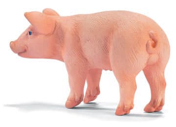 Schleich Domaće životinje - Prase, stoji 13289