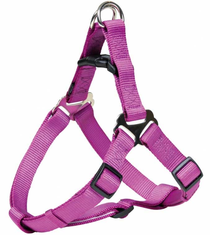 Am za psa Premium One Touch berry XS-S Trixie 20438