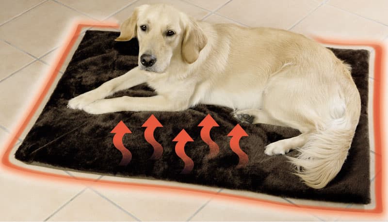 Prostirka Za Psa ili Mačku 100 x 70 cm