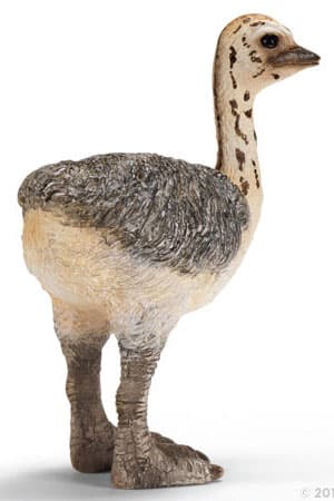 Schleich Divlje Životinje - Mladunče noja 14398