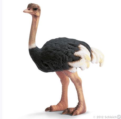 Schleich Divlje Životinje - Noj 14325