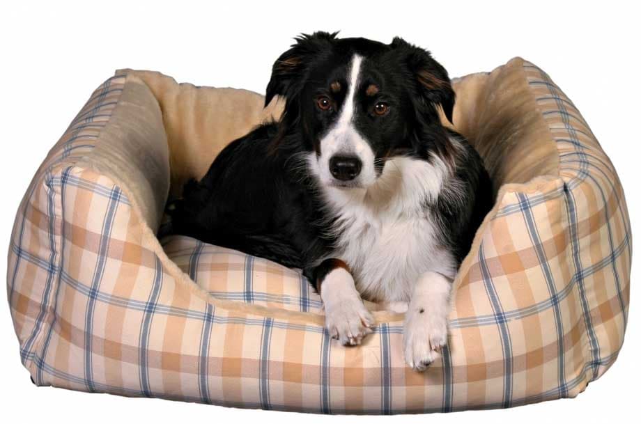 Trixie Krevet za velike pse Buka 37774