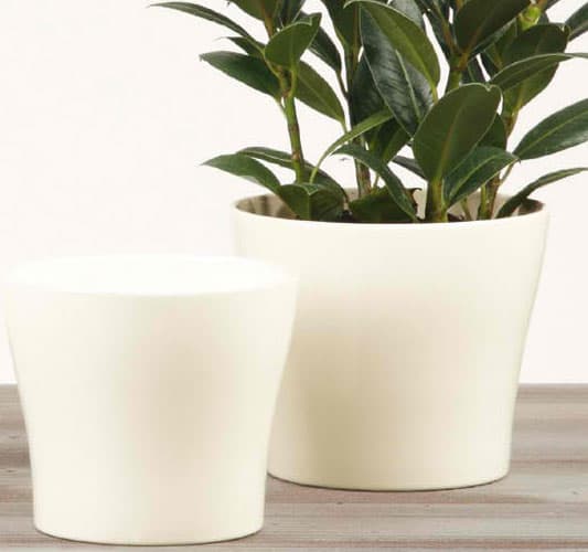 Scheurich saksija 808/19 Glossy Cream SH 47434