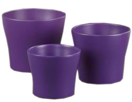 Scheurich saksija 808/13 Deep Purple SH 48543