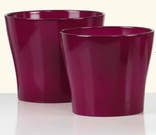 Scheurich saksija Wild Berries 808/15 SH 49859