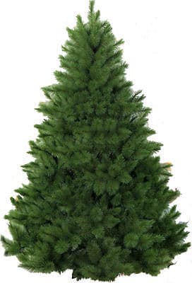 Bogata Novogodišnja Jelka sa 400 Grančica - 210 cm