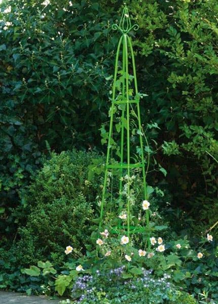 Baštenski Luk Piramida 31 x 31 x 200 cm Lifetime Garden