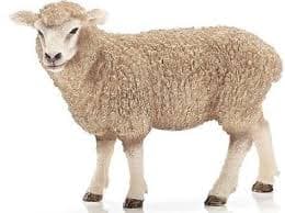 Schleich Domaće životinje - Ovca 13743
