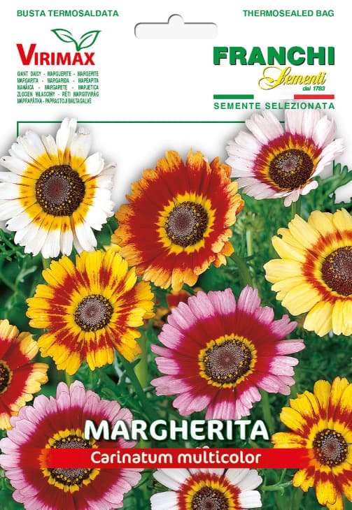 Seme 10 kesica za cveće Ivančica - Trobojna Margareta Franchi Sementi Virimax