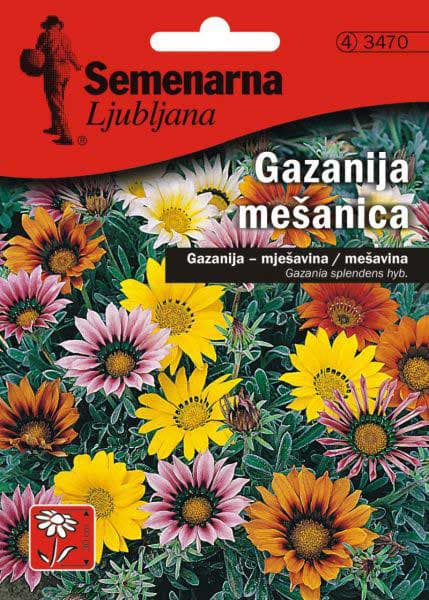 Baštensko cveće Gazanija - mešavina - Gazania splendens hyb. 5 kesica 3470