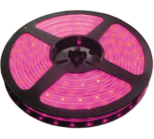 LED traka roze 30 LED / 1m LTR5050/30P-12  5 metara
