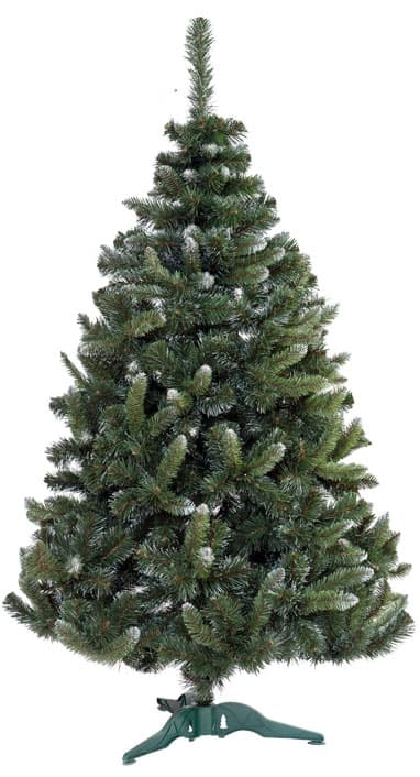 Novogodišnja Jelka Sa Belim Vrhovima - Eden Green 120 cm