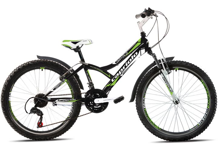 Bicikl Capriolo Diavolo 400 24/18HT crno zelena 915305-13