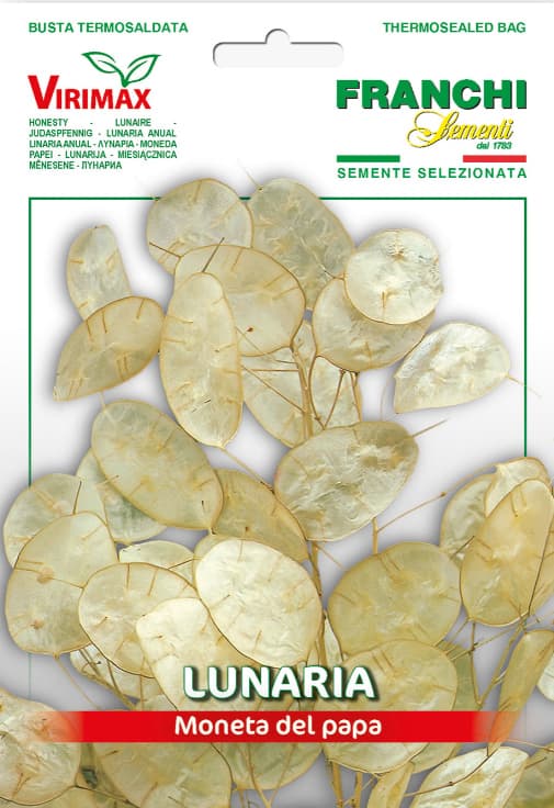 Lunarija - seme za cveće 10 kesica Franchi Sementi Virimax