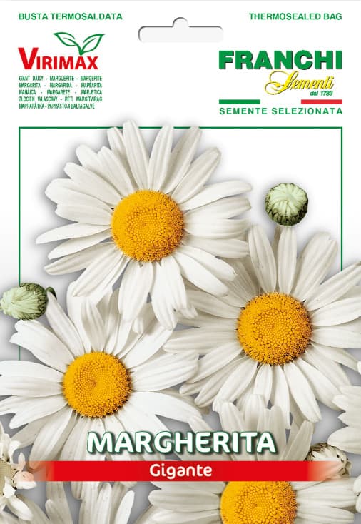 Margareta bela - seme za cveće 10 kesica Franchi Sementi Virimax