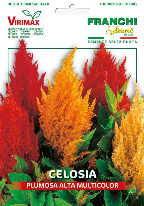 Cveće Perjanica - seme 10 kesica Franchi Sementi Virimax