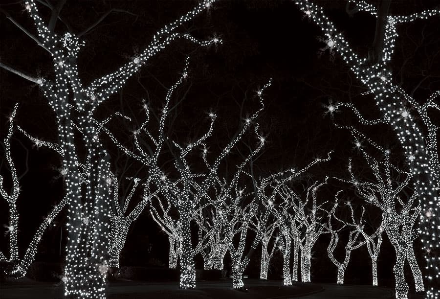 Novogodišnje Lampice LED Niz Za Spoljnu ili Unutrašnju Upotrebu 10 m