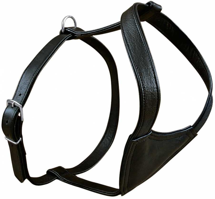 Kožni am za pse veličina M Activ Trixie 17971