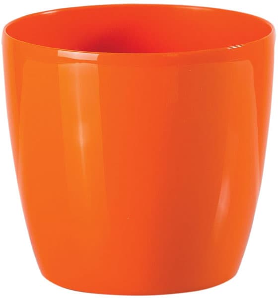 Saksija Stars 30 narandžasta