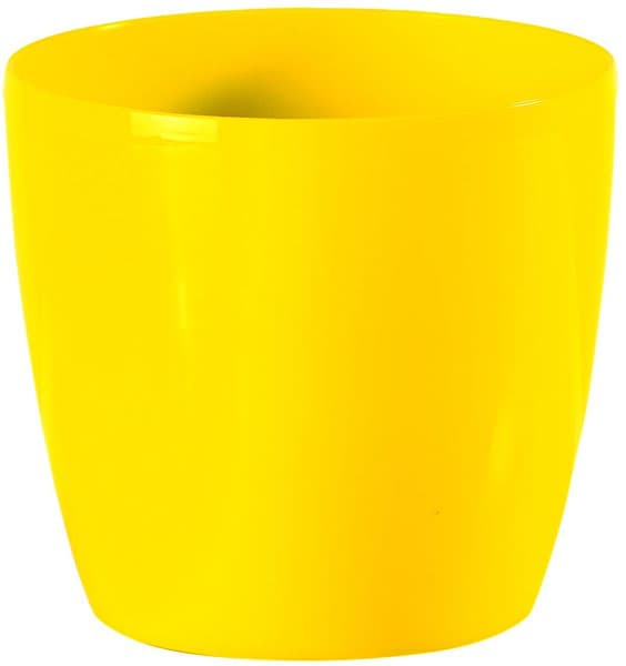 Saksija Stars 20 žuta