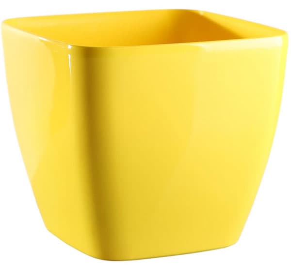 Saksija Queens 16x16 žuta