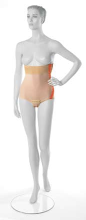 Abdominalni steznik za žene LGA veličina S