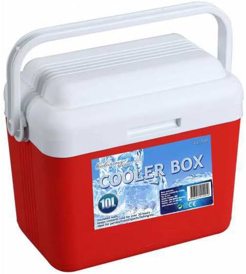 Ručni frižider Cooler Box CL-310