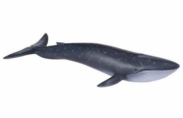 Collecta Divlje Životinje Plavi Kit CT88044