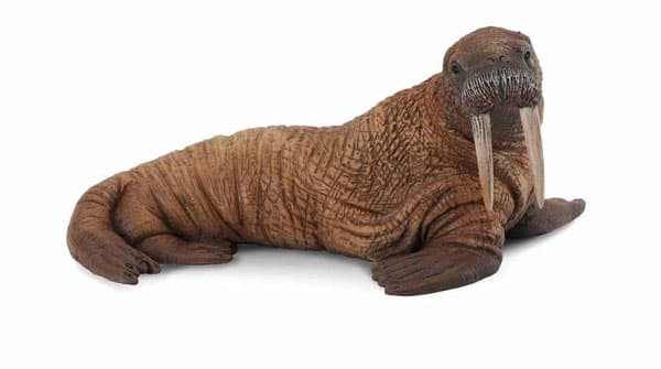 Collecta Divlje Životinje Morž CT88569