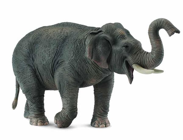 Collecta Divlje Životinje Azijski Slon CT88486