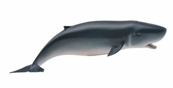 Collecta Divlje Životinje Grenlandski Kit CT88652