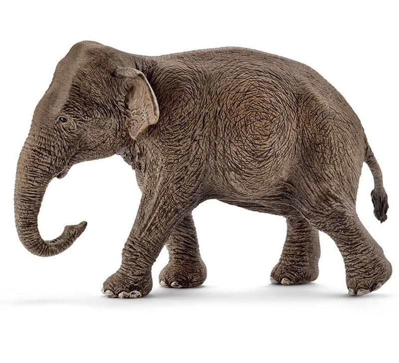 Schleich Figurice Divlje životinje - Azijski slon - ženka -14753
