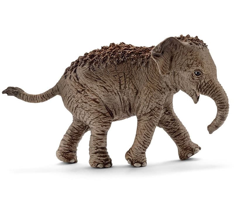 Schleich Figurice Divlje životinje - Azijski slon - mladunče 14755